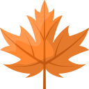Autumn Flash Sale